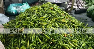 হিলির ১৬ প্রতিষ্ঠানকে ৫ হাজার টন কাঁচা মরিচ আমদানির অনুমতি